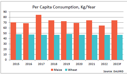 per capita consumption maize and wheat